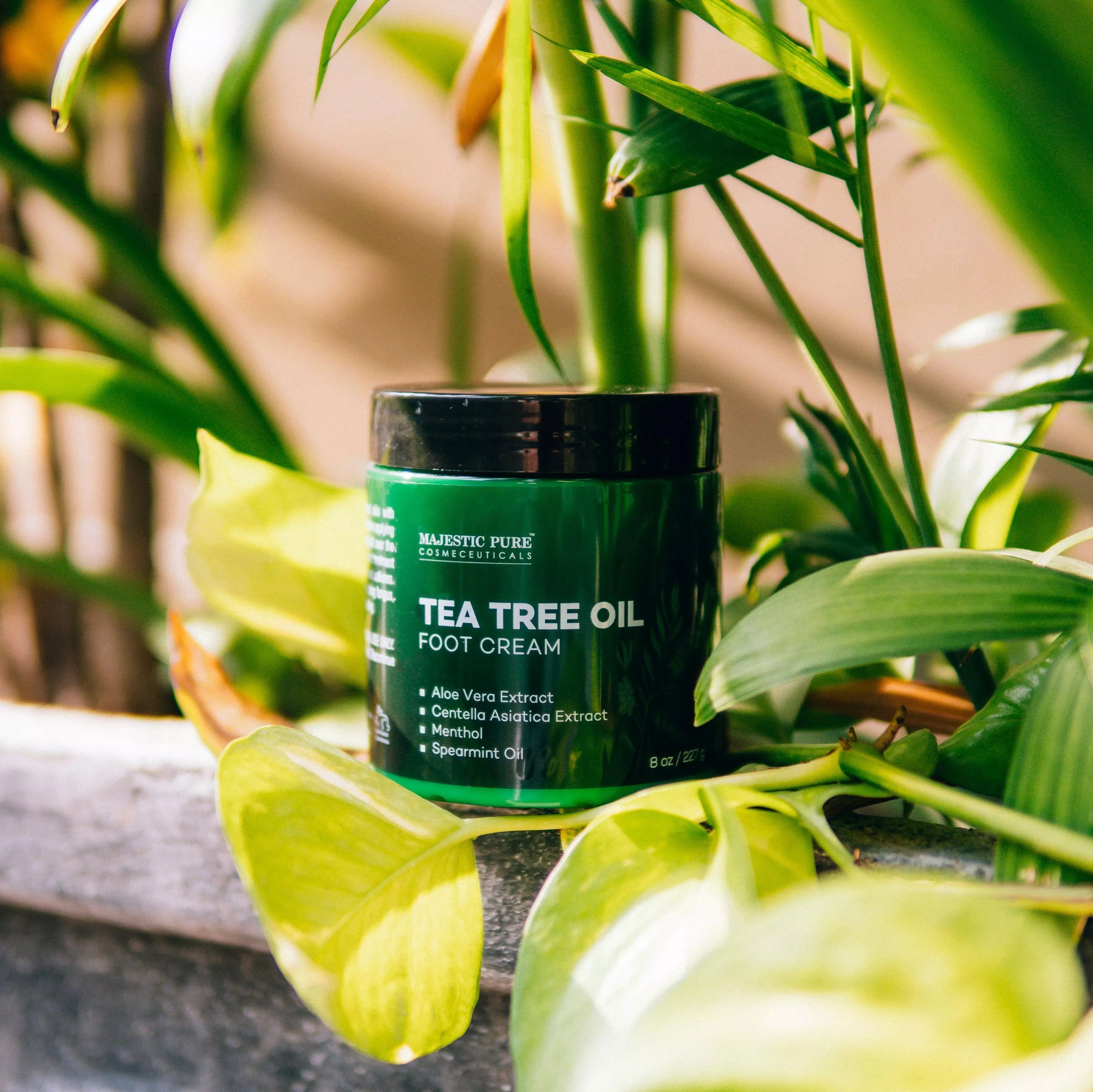 majestic-pure-tea-tree-foot-cream-with-aloe-vera-extract-8-oz image 2