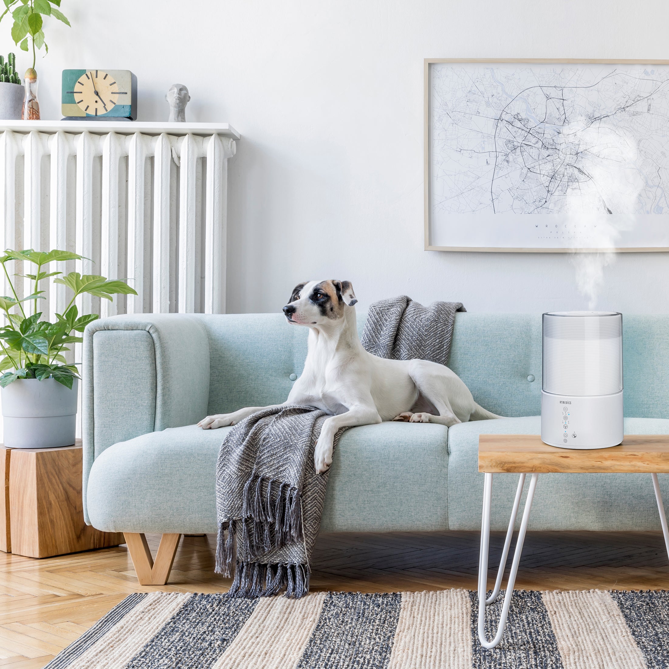 homedics-totalcomfort-cool-mist-humidifier image 4