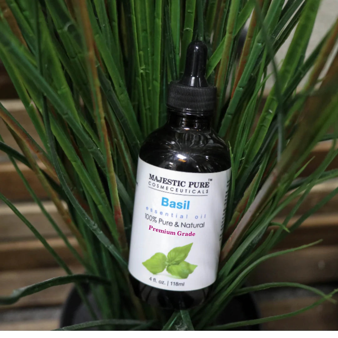 majestic-pure-basil-essential-oil-100-pure-and-natural-4-fl-oz image 3